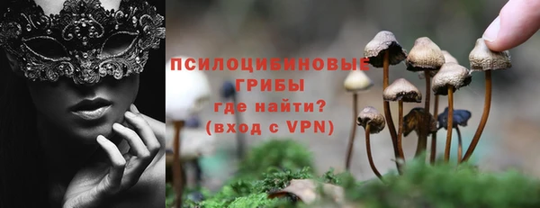 бутират Арсеньев