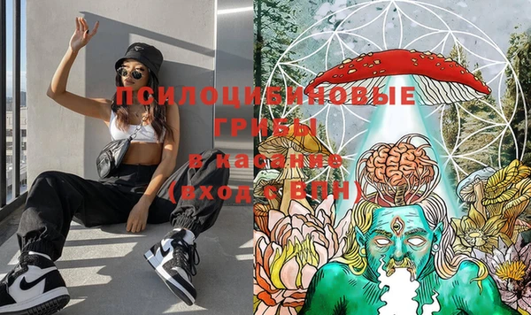 прущая мука Армянск