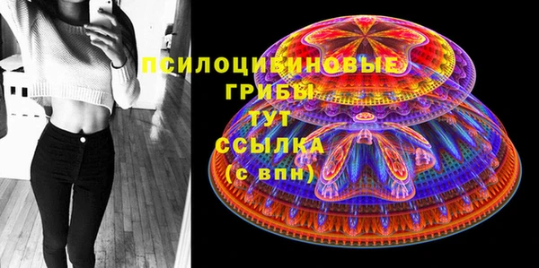 прущая мука Армянск